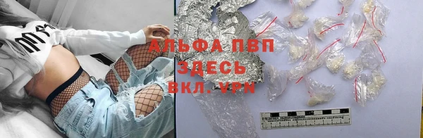 гидра Елизово