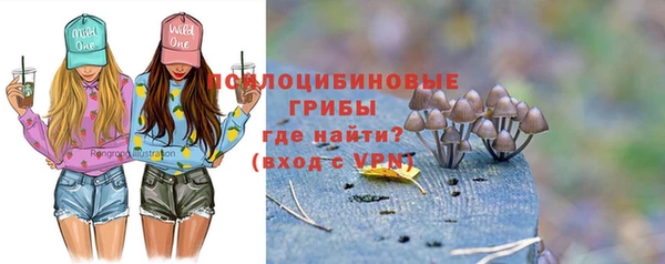 винт Дмитров