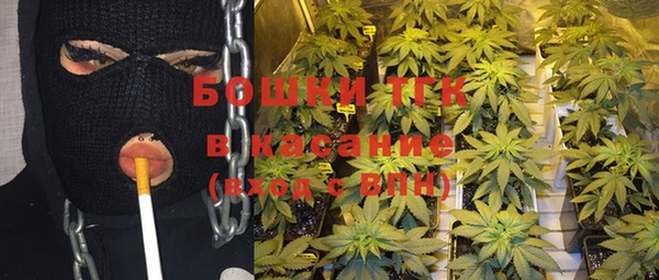 винт Дмитров