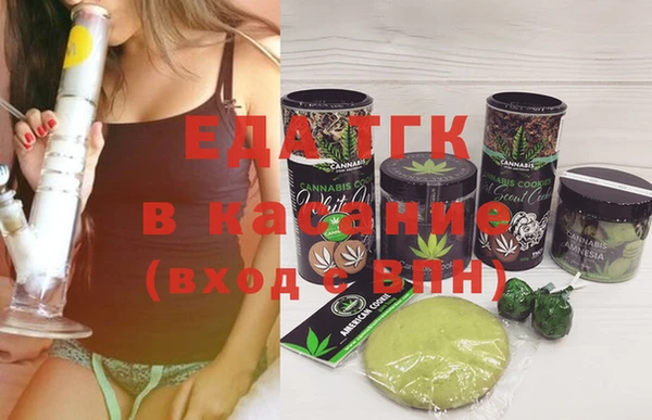 гидра Елизово