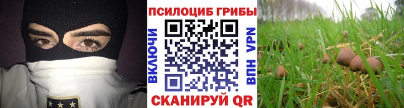 Галлюциногенные грибы Magic Shrooms  Купить  Майский 